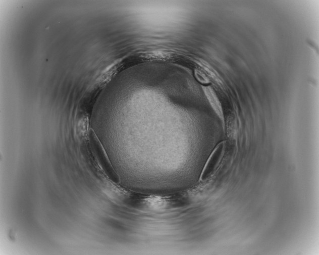 X0000094950425200712201142