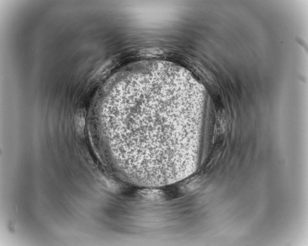 X0000094950427200712201142