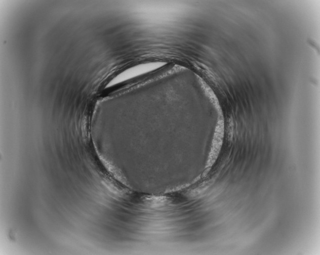 X0000094950428200712201142