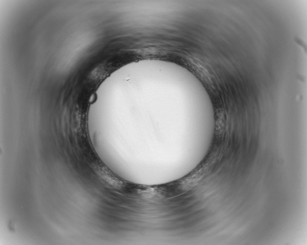 X0000094950430200712201142