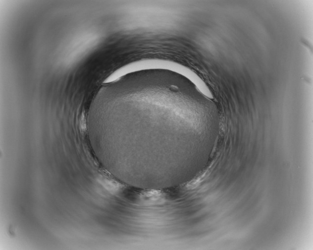 X0000094950431200712201142