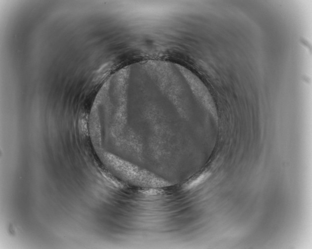 X0000094950432200712201142