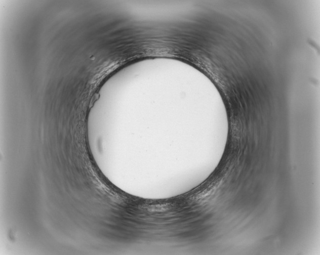 X0000094950433200712201141