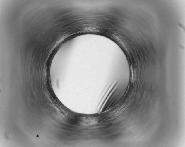 X0000094950435200712201141