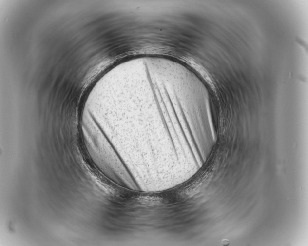 X0000094950437200712201141