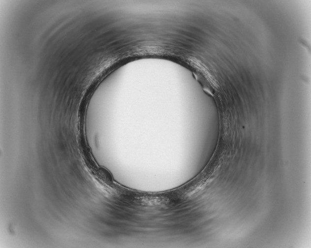 X0000094950439200712201141