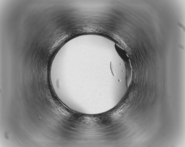 X0000094950442200712201141