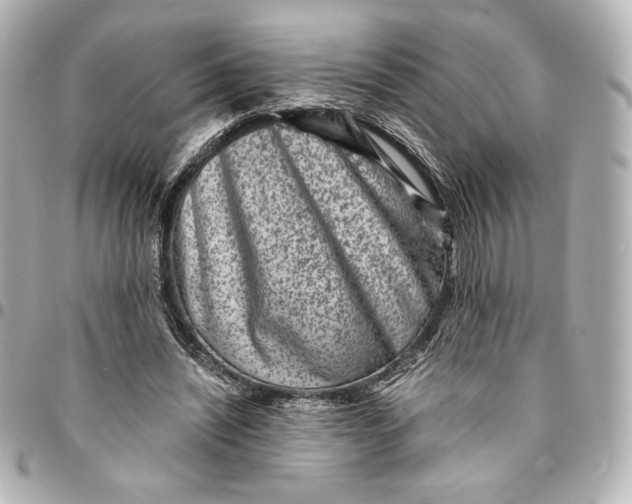 X0000094950444200712201141