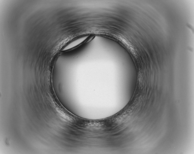 X0000094950445200712201141