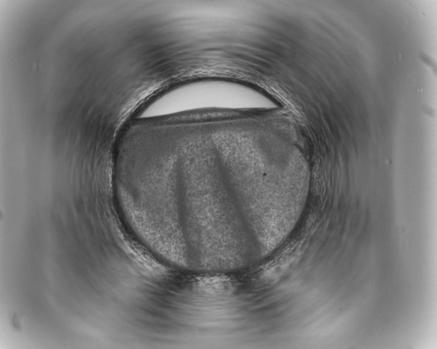 X0000094950446200712201141