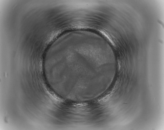 X0000094950447200712201141