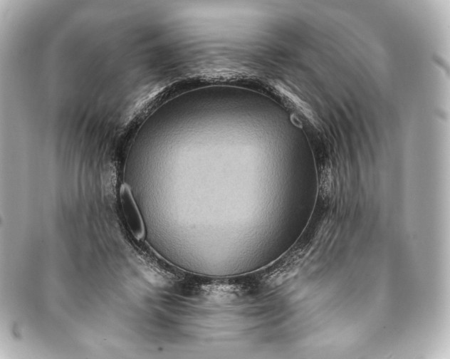 X0000094950448200712201141