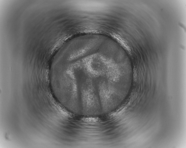 X0000094950449200712201141