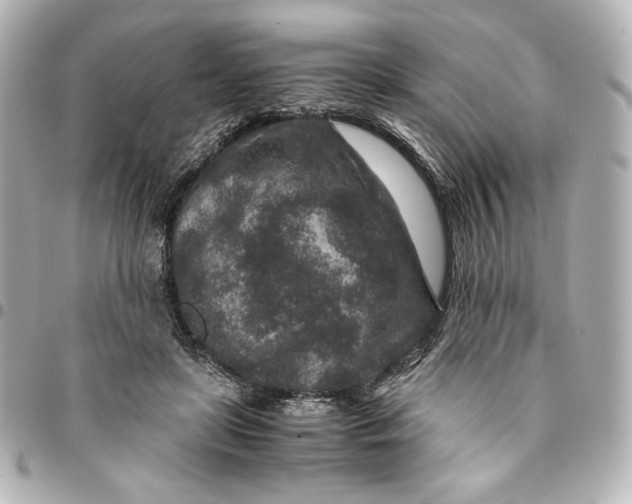 X0000094950451200712201141