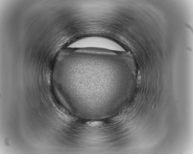 X0000094950452200712201141