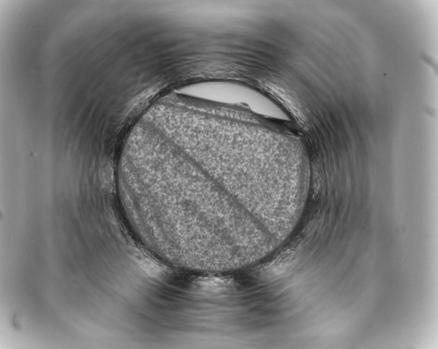 X0000094950453200712201141