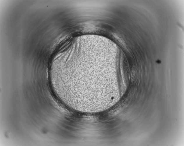 X0000094950454200712201141