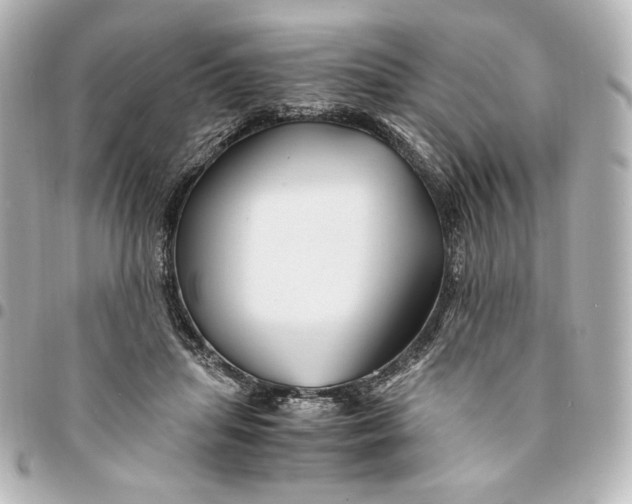 X0000094950455200712201141