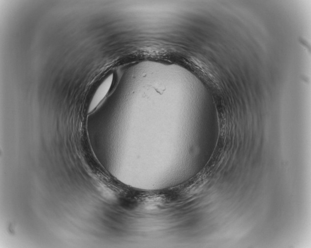 X0000094950456200712201141