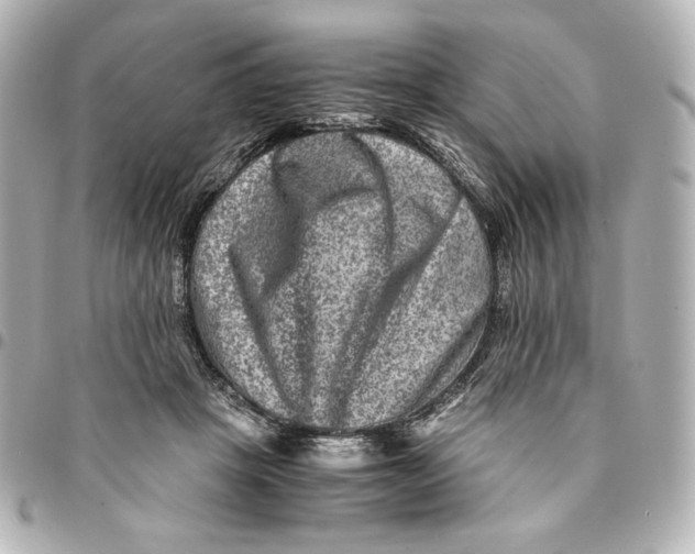 X0000094950457200712201141