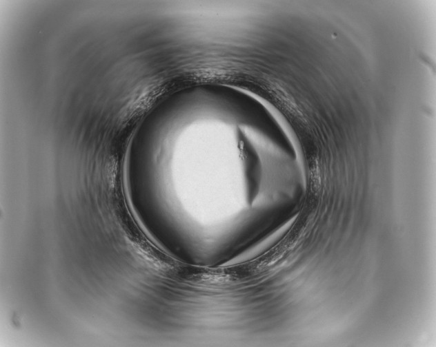 X0000094950458200712201141