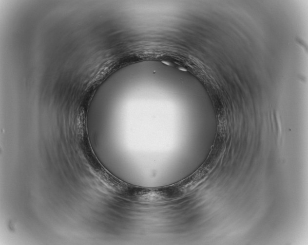 X0000094950460200712201141