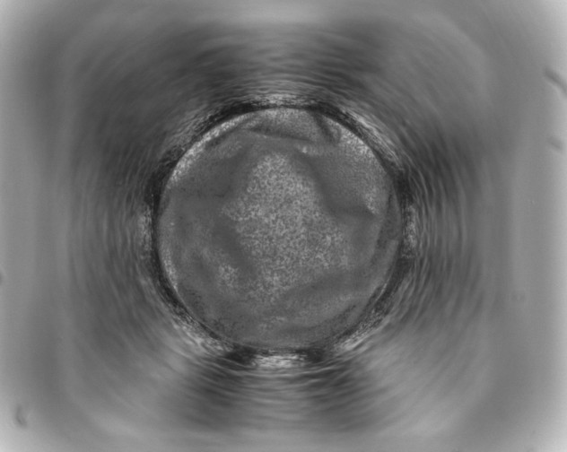 X0000094950461200712201141