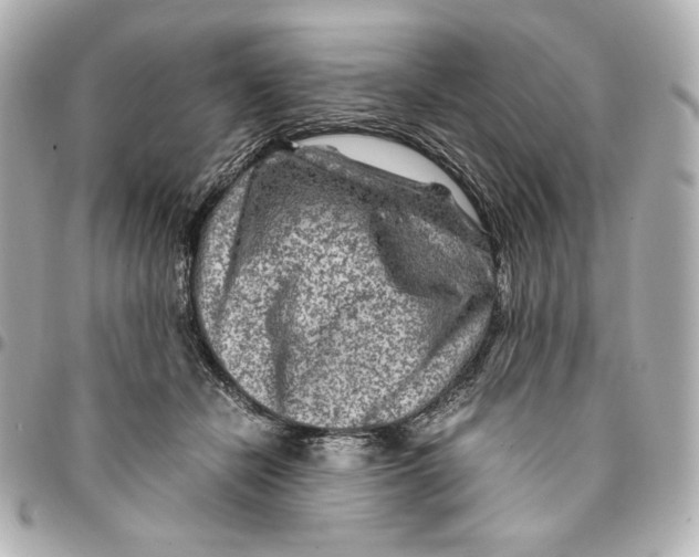 X0000094950462200712201141