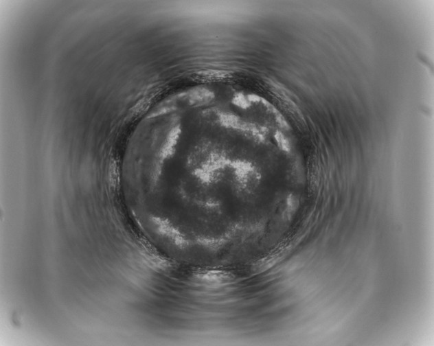 X0000094950467200712201142