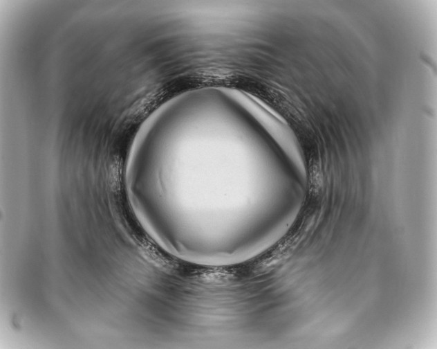 X0000094950468200712201142