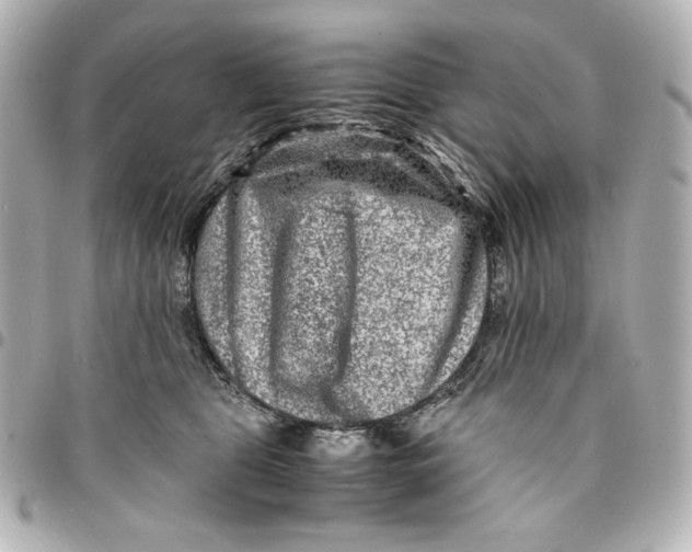 X0000094950469200712201142