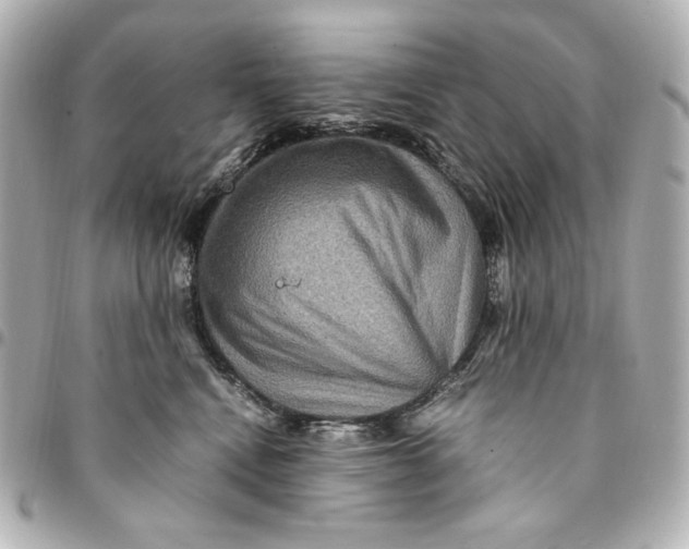 X0000094950472200712201142