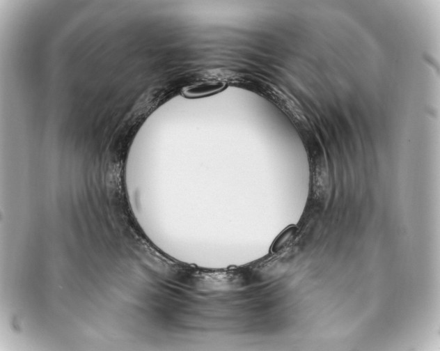 X0000094950473200712201142