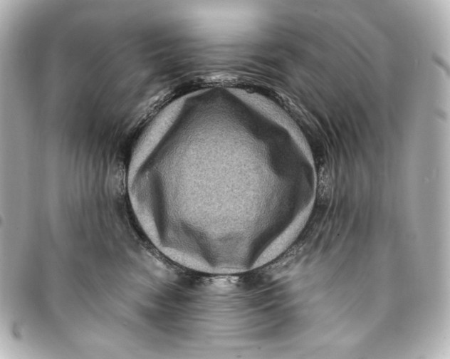 X0000094950474200712201142