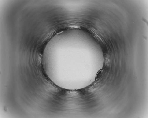 X0000094950476200712201142