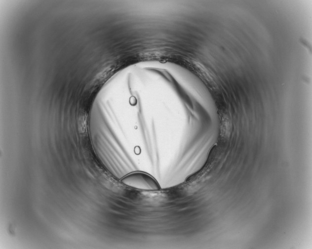 X0000094950477200712201142