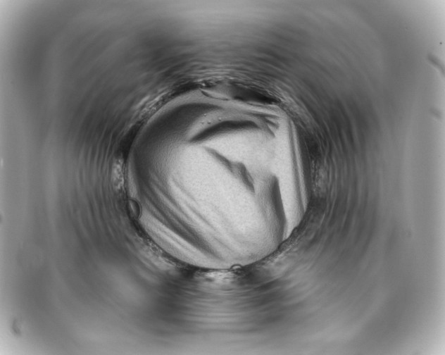 X0000094950478200712201142