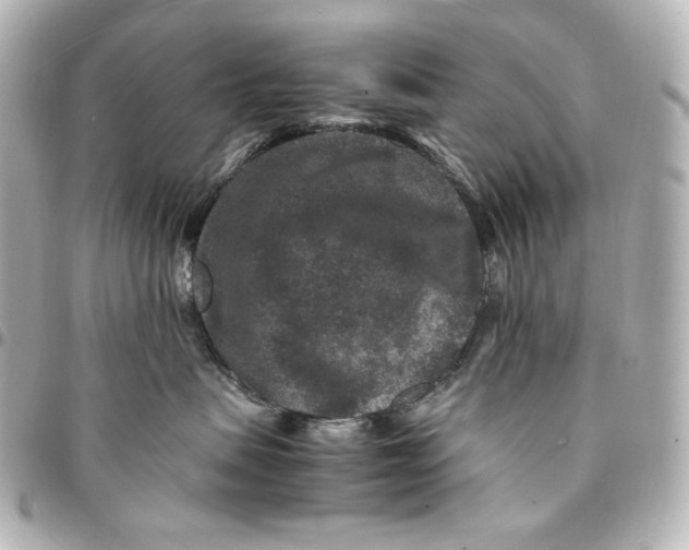 X0000094950479200712201142