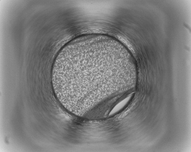 X0000094950481200712201141