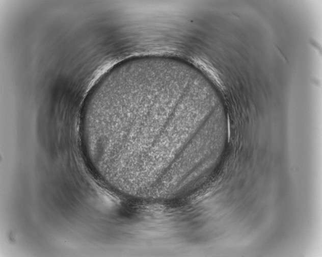 X0000094950483200712201141