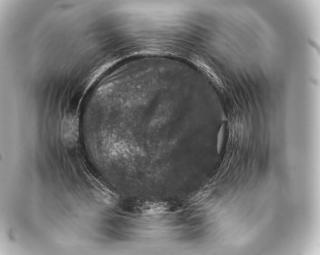 X0000094950484200712201141