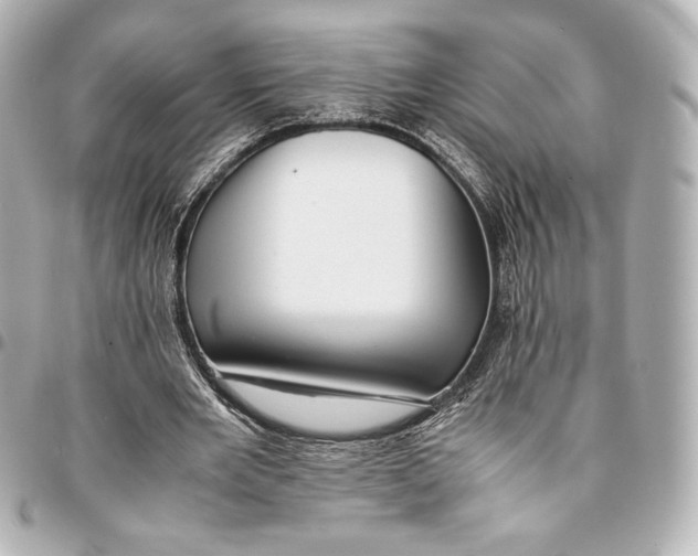 X0000094950485200712201141