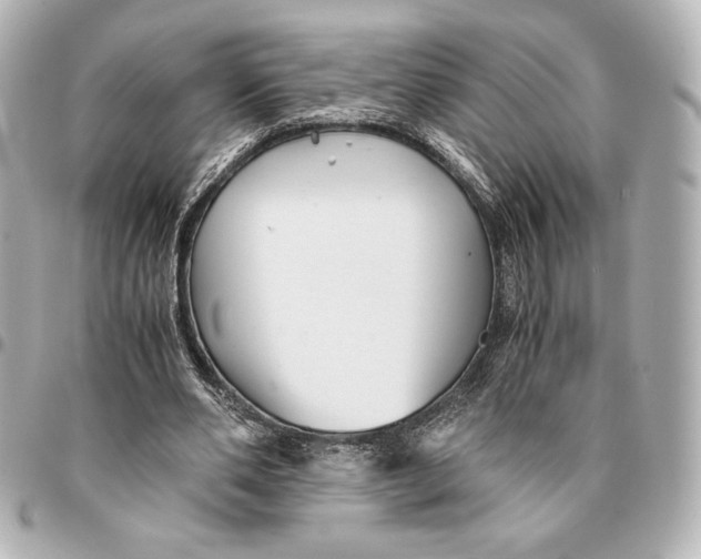 X0000094950486200712201141