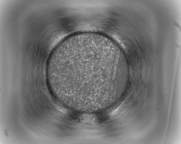 X0000094950487200712201141