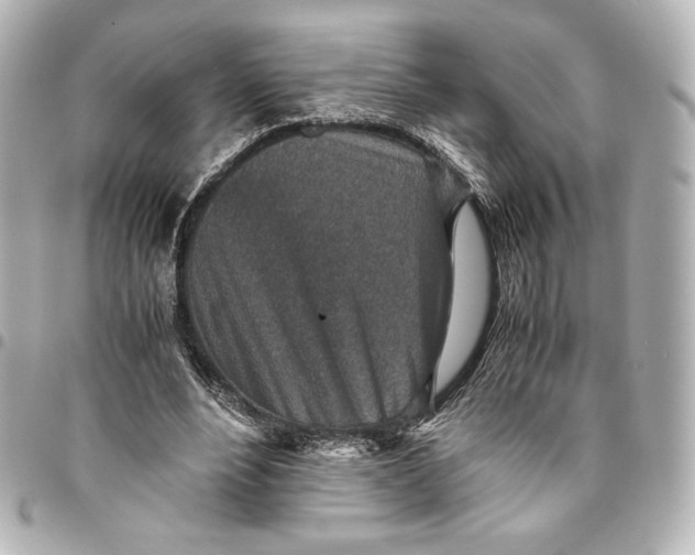 X0000094950488200712201141