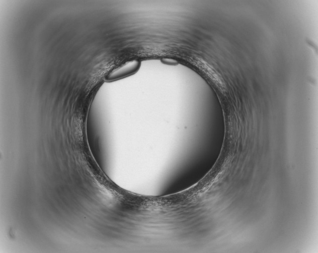 X0000094950489200712201141