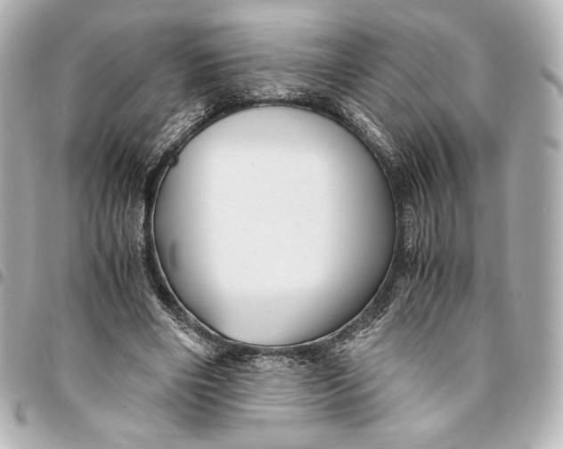 X0000094950490200712201141