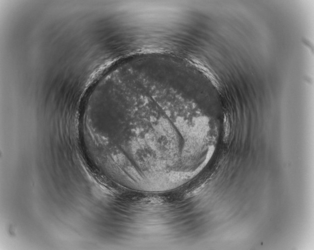 X0000094950492200712201141