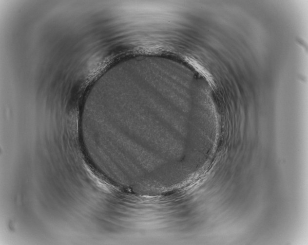 X0000094950493200712201141