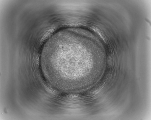 X0000094950495200712201141